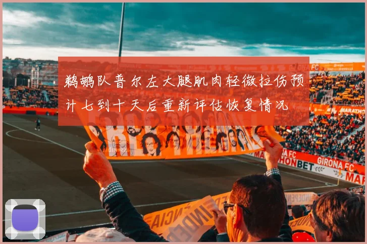 鹈鹕队普尔左大腿肌肉轻微拉伤预计七到十天后重新评估恢复情况