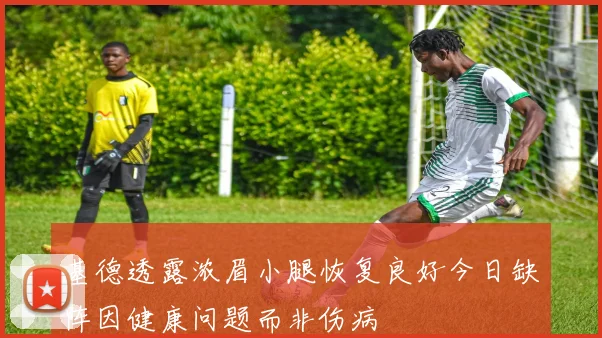 基德透露浓眉小腿恢复良好今日缺阵因健康问题而非伤病