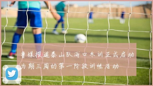鲁媒报道泰山队海口冬训正式启动为期三周的第一阶段训练活动