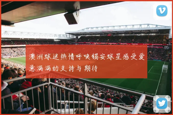 澳洲球迷热情呼唤锡安球星感受爱意满满的支持与期待