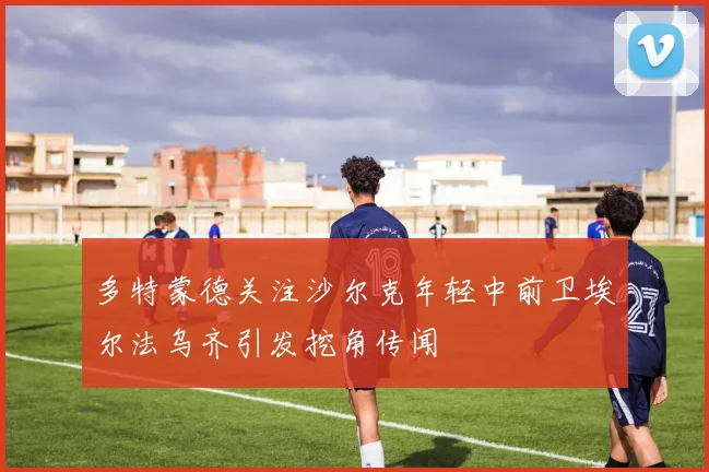 多特蒙德关注沙尔克年轻中前卫埃尔法乌齐引发挖角传闻