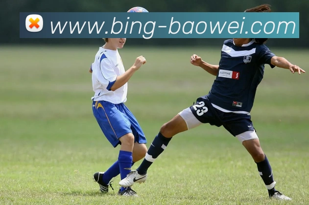 多媒体互动体验